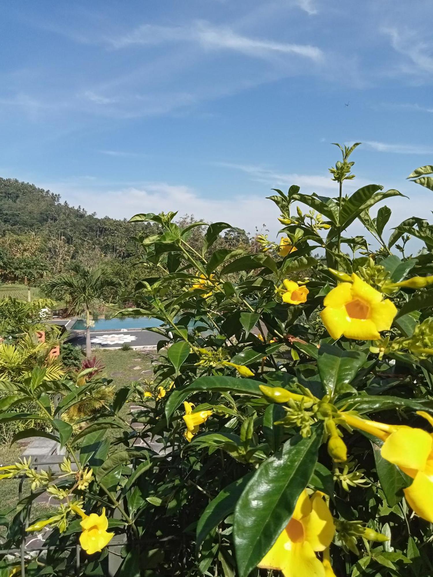 Villa Markisa Pakisan Sawan Esterno foto