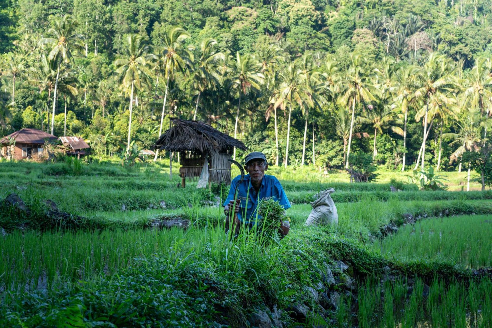 Villa Markisa Pakisan Sawan Esterno foto