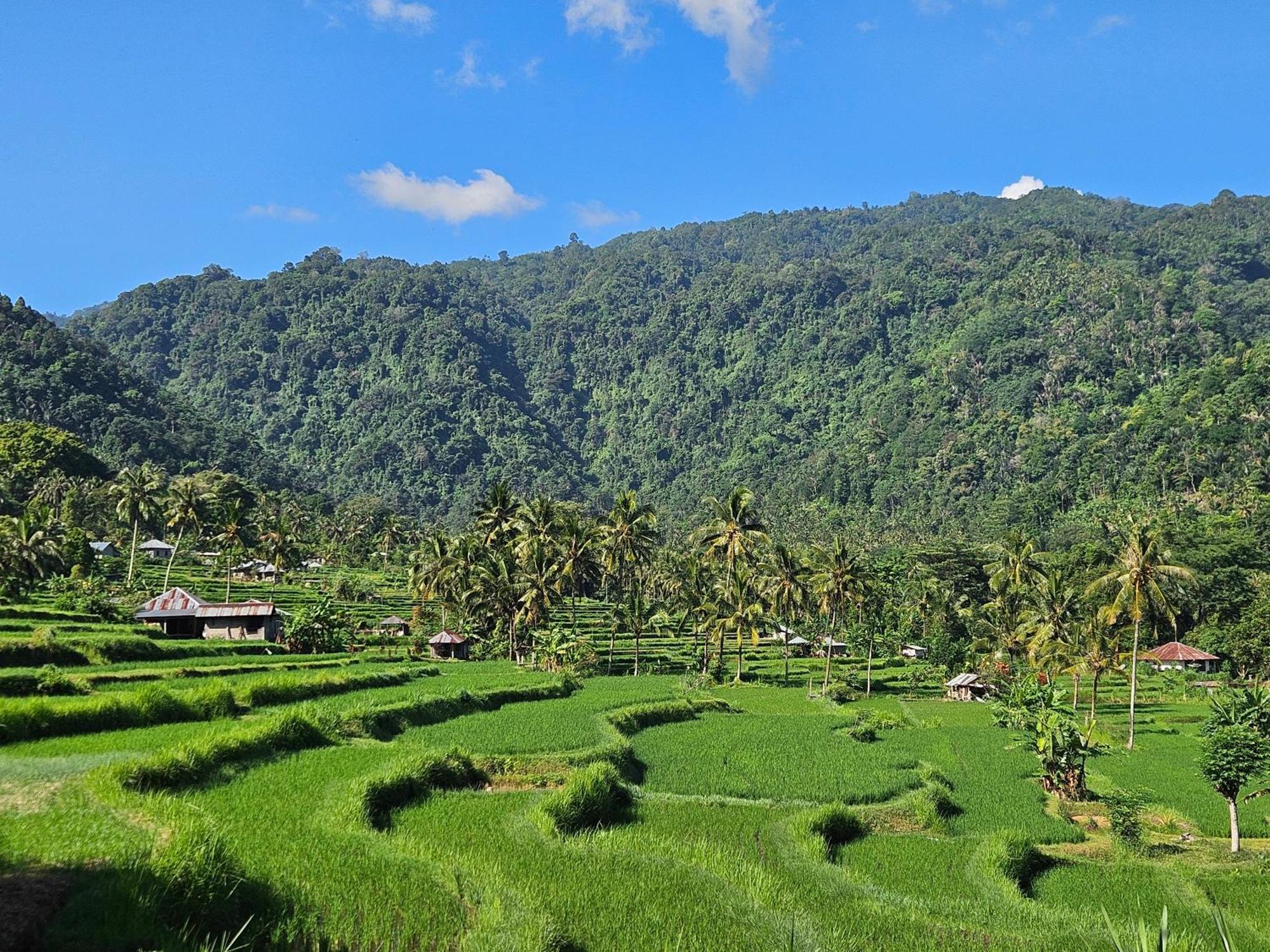 Villa Markisa Pakisan Sawan Esterno foto
