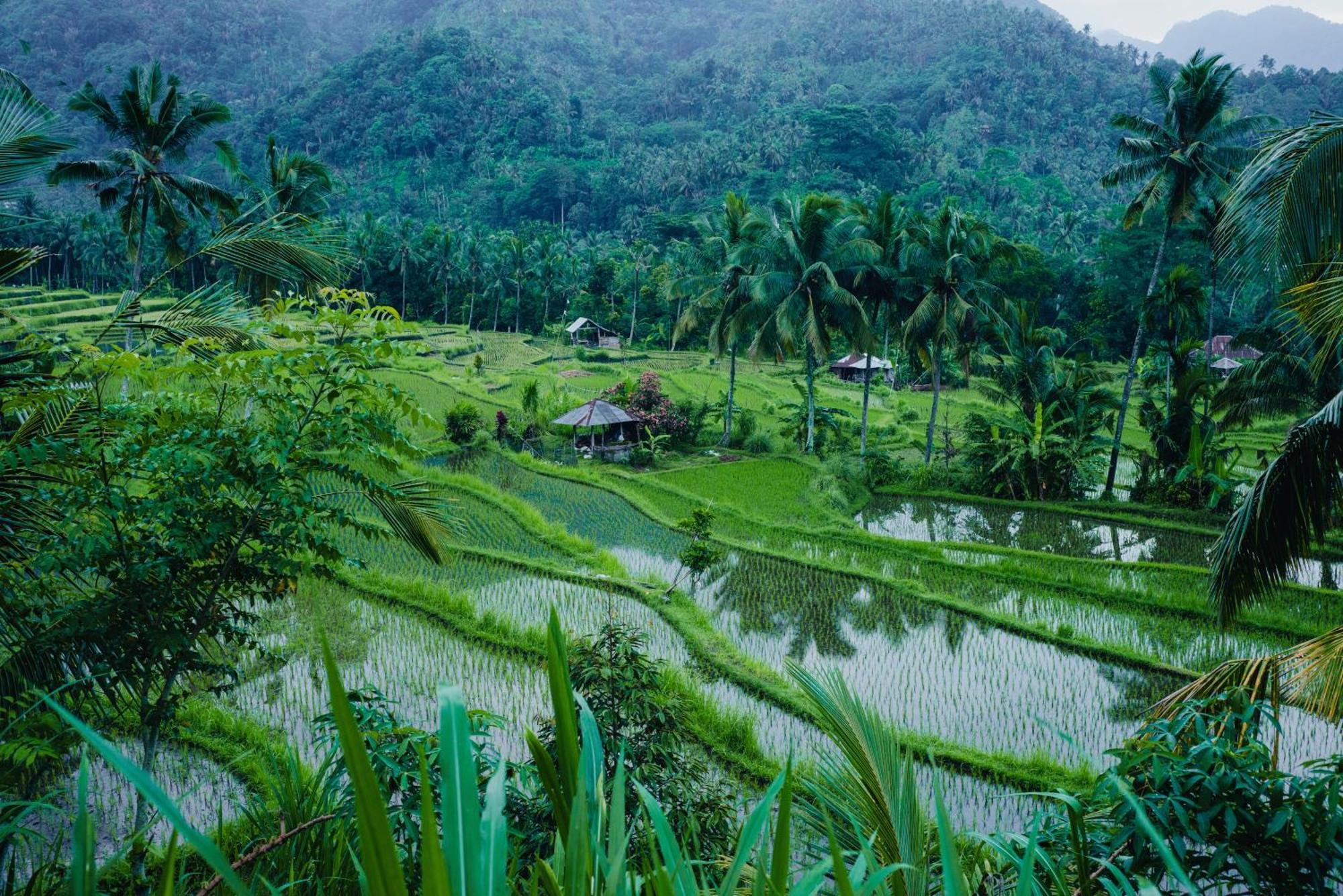 Villa Markisa Pakisan Sawan Esterno foto